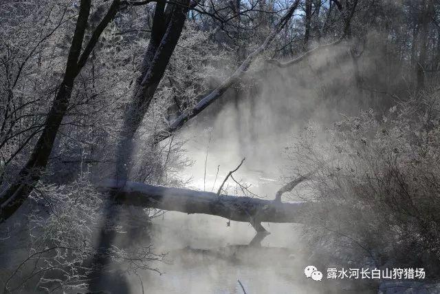 水疗中心